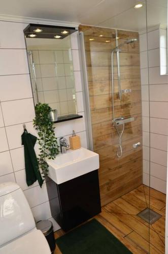 a bathroom with a sink and a shower at Cottage for visiting sea, city, forest in Holm