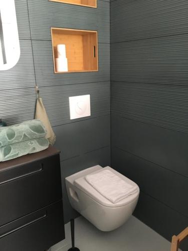 a bathroom with a toilet and a sink and a mirror at COSY ROOM PRIVATE BATH AND GARDEN in Anglet