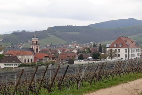 a city with a vineyard and a town with mountains at Gîte du forgeron - 6 à 8 personnes - Centre Alsace - Saint-Hippolyte in Saint-Hippolyte