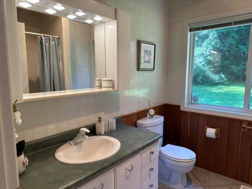 a bathroom with a sink and a toilet and a mirror at SeaLaVie Rare Peaceful & Hidden Gem Shore House in Ladysmith