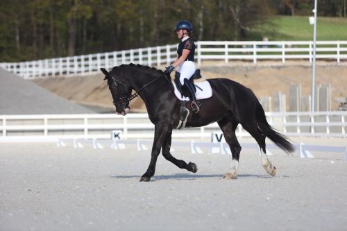 a person riding a black horse on a track at Agroturystyka Ranczo Gościszów in Nowogrodziec