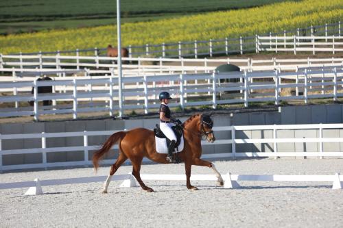 a person riding a horse on a track at Agroturystyka Ranczo Gościszów in Nowogrodziec