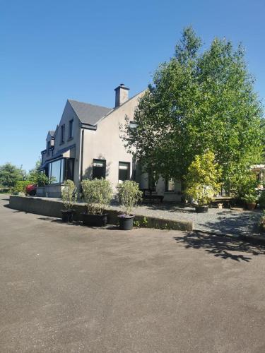 a white house with trees in a parking lot at Canaima House in Ladysbridge