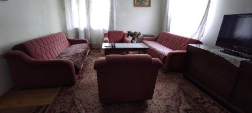 a living room with two couches and a tv at 202 in Bijelo Polje