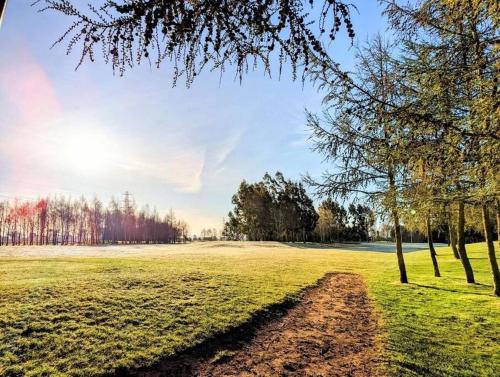 a field with trees and a dirt trail at Lakeside View in Wisbech