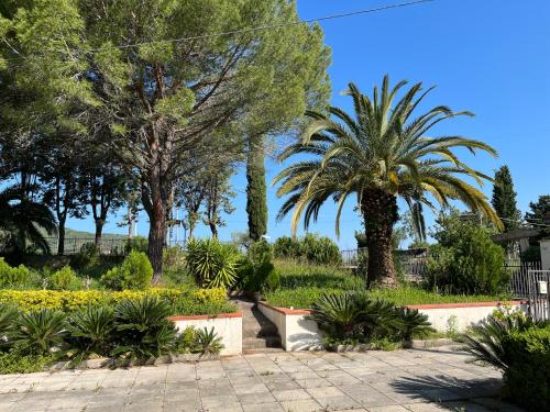 a garden with palm trees and flowers on a sunny day at Villa Claudia - casa vacanze in Agropoli