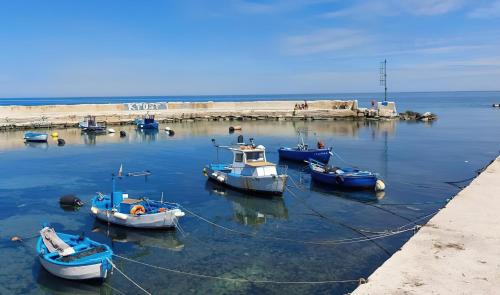 un groupe de bateaux est amarré dans l'eau dans l'établissement Regina di Cuori, à Mola di Bari