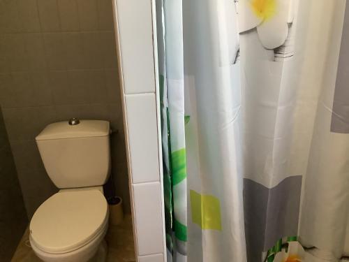 a bathroom with a toilet and a shower curtain at la dolce farniente in Biaudos