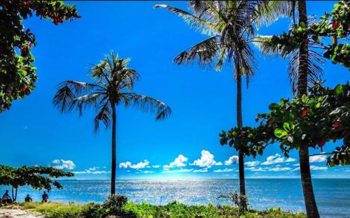 vista sulla spiaggia con palme di Porto Home - AP 2 quartos a Porto Seguro