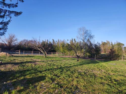 a field with trees and a fence in the background at Les petits volets bleus in Bouchet