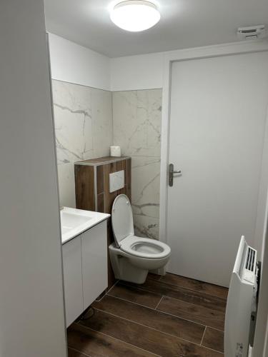 a white bathroom with a toilet and a sink at Grenoble LA SUITE 2 spa jaccuzzi et sauna privatif in Grenoble