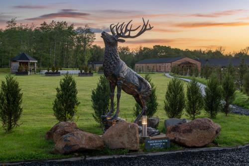 Fotografie z fotogalerie ubytování Silverwood Luxury Lodge Resort v destinaci Perth