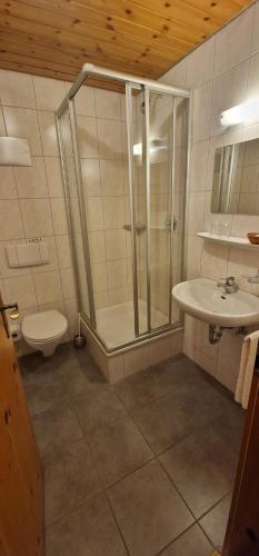 a bathroom with a shower and a toilet and a sink at Gasthof Küssaburg in Küssaberg