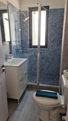 a bathroom with a shower and a toilet and a sink at Pomiculturii Residence 4 in Timişoara
