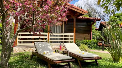 a garden with a table and a bench and a house at Aida Hotel in Cıralı