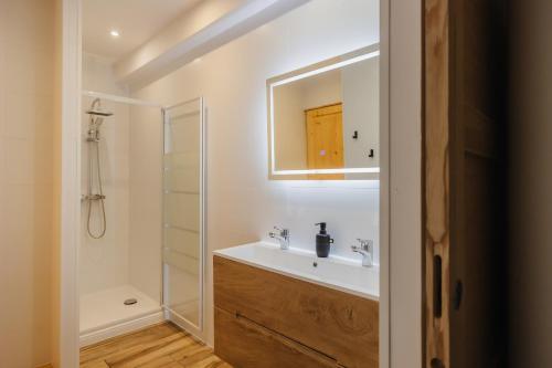 a bathroom with a sink and a mirror at Charmant T3 en Centre Ville #1 in Embrun