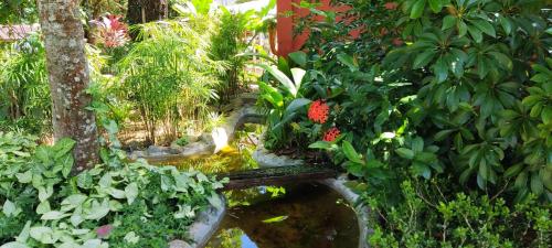 a garden with a pond with plants and flowers at Pousada Villa Luna in Penedo
