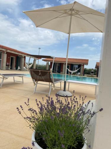 a patio with an umbrella and a chair and flowers at Verde Oliva Residence in Ispica