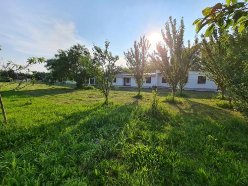 a house in the middle of a field with trees at Agriturismo Ca Novak Venezia in Spinea