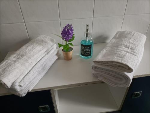 a bathroom with towels and a bottle of soap and a plant at B&B Maltese in Palermo