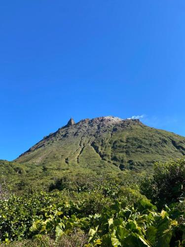 a green mountain with a blue sky in the background at Habitation La Reine du Camp Chambres d'Hôtes in Saint-Claude