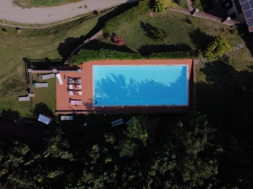 an overhead view of a large blue swimming pool at StarsBox CasaSilvana in Alba