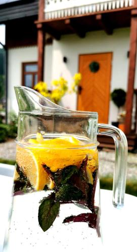 a glass cup with a drink with orange slices at Gazdówka - najlepsza miejscówka domek w Pieninach in Krościenko
