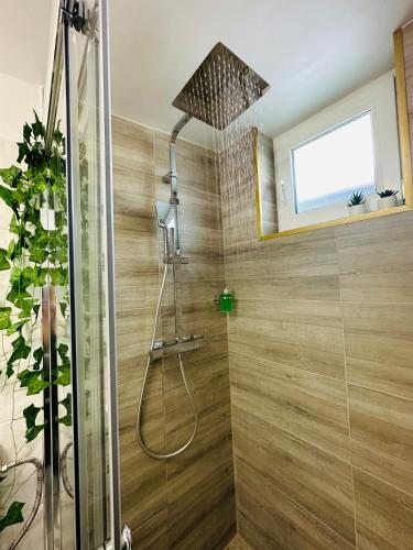 a shower with a shower head in a bathroom at Luxor Apartament Sibiu in Sibiu