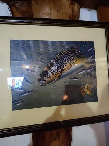 Fotografie z fotogalerie ubytování Vikendica Ribnik v destinaci Gornji Ribnik