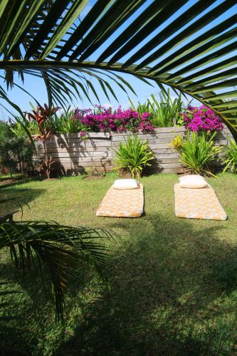 two meditation mats on the grass in a garden at MADIROKELY HOUSE Nosy Be in Ambatoloaka