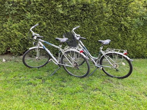 two bikes parked next to each other in the grass at Apartament Zośka in Ustroń