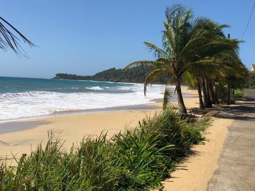 a sandy beach with palm trees and the ocean at Treehouse Apartment at La Lodge at Long Bay in Corn Islands
