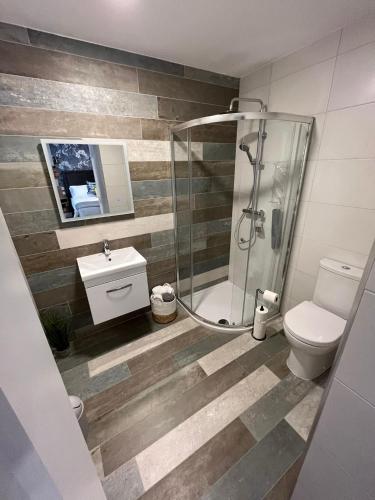 a bathroom with a shower and a toilet at Codladh Sámh in Templemore