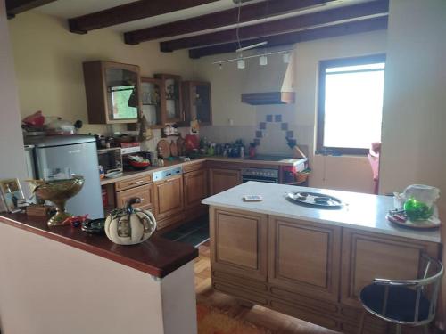 a kitchen with wooden cabinets and a white counter top at TopHil kuća, Valjevo in Valjevo