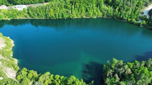 an aerial view of a large lake with trees at Apartamenty Pod Debem (Ferienwohnungen an der uralten Eiche) in Wapnica