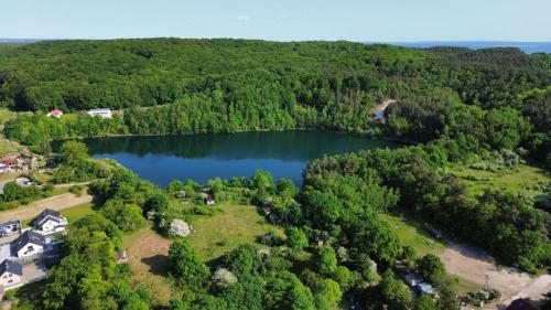 an aerial view of a lake in the middle of a forest at Apartamenty Pod Debem (Ferienwohnungen an der uralten Eiche) in Wapnica