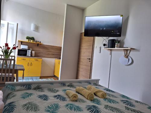 Apartment Drazica