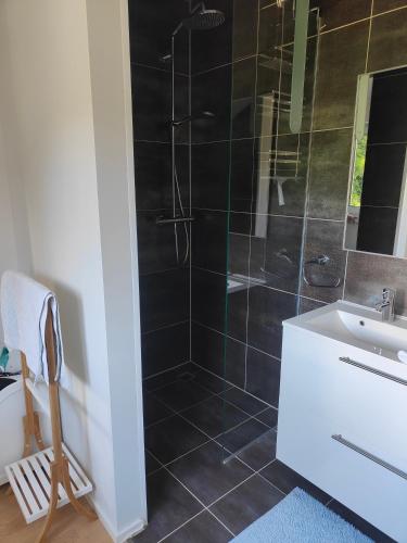 a bathroom with a shower and a sink at Chambre Zen Et Calme in Bouveret