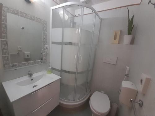 ローマにあるGUEST HOUSE FIDARDOのバスルーム(シャワー、トイレ、シンク付)