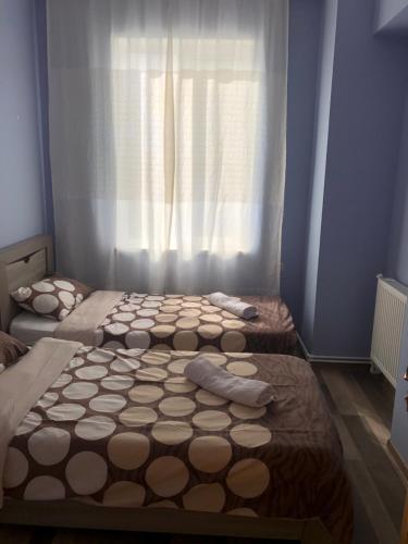 two twin beds in a bedroom with a window at DreamLand Lagodekhi & Wine Cellar in Lagodekhi