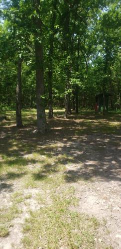 Truman Lake Getaway Overflow – Photos 2