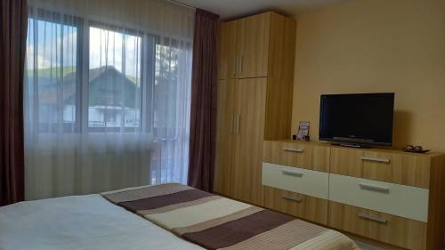 TV a/nebo společenská místnost v ubytování Kalinderu ADET ,lângă pârtie