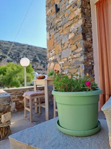 a green plant in a pot on a patio at Poudas House in Cherronisos