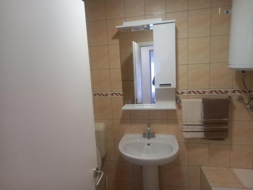 La salle de bains est pourvue d'un lavabo et d'un miroir. dans l'établissement Apartment Emina Free Garage Parking, à Sarajevo