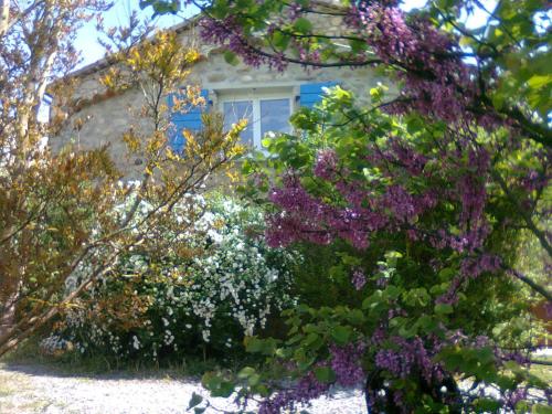 La Nichoule – Photos 5