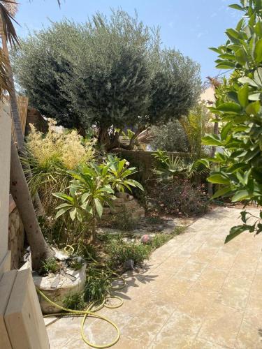 a garden with a hose and trees and plants at בוטיק צ'יל אאוט - Boutique Chill Out in Eilat