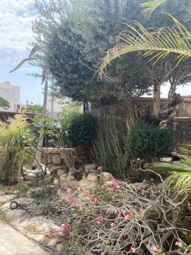 a garden with a bunch of plants and flowers at בוטיק צ'יל אאוט - Boutique Chill Out in Eilat