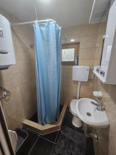 een badkamer met een blauw douchegordijn en een wastafel bij Wild Beauty house Skadar lake in Cetinje