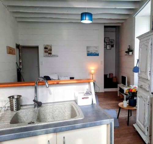 a kitchen with a sink and a living room at La Palme de Retz in Pornic