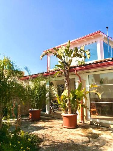 a house with potted plants in front of it at Eleutheria beach villa by the beach in Torre Chianca